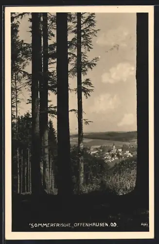 AK Offenhausen /O. Ö., Durchblick zum Ort
