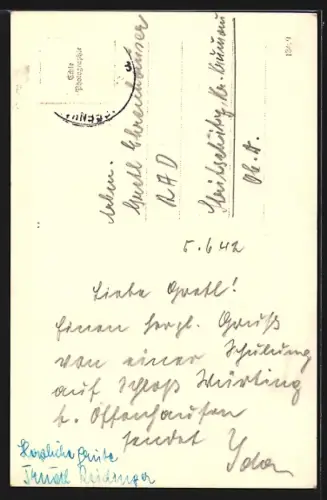 AK Offenhausen /O. Ö., Durchblick zum Ort