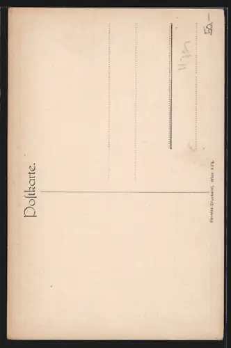 AK Bad Schallerbach, Panorama des Ortes