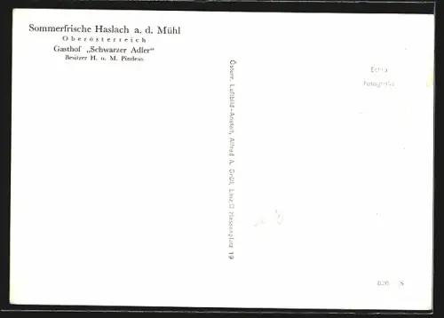 AK Haslach a. d. Mühl, Ortsansicht aus der Vogelschau