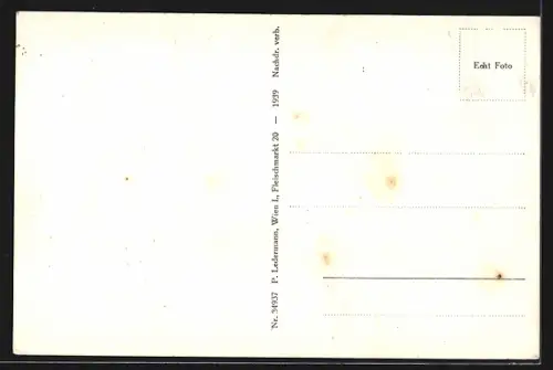 AK Steyr, Ortsansicht mit Brücke und Einmündung in die Enns