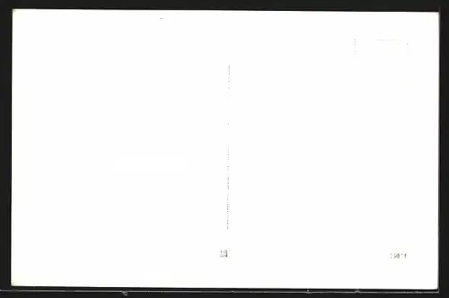 AK Steyr /O. Ö., Ennspartie mit Michaelerkirche