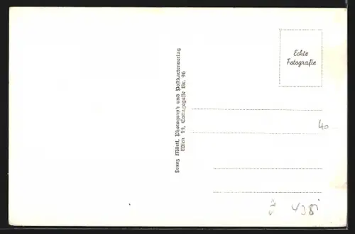 AK Sankt Nikola an der Donau, Blick zum Ort von der gegenüberliegenden Uferseite