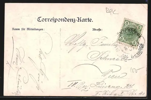 AK Maria Enzersdorf, Wasserheilanstalt Wällischhof