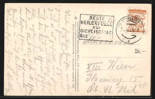 AK Bad Schallerbach /Ob. Öst., Ortspartie