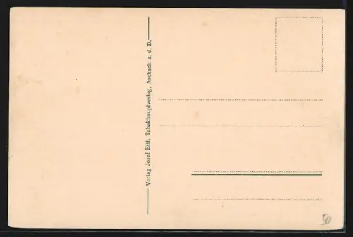 AK Aschach a. d. Donau, Panorama