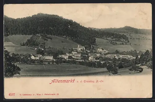 AK Altenmarkt a. d. Triesting, Teilansicht mit Kirche