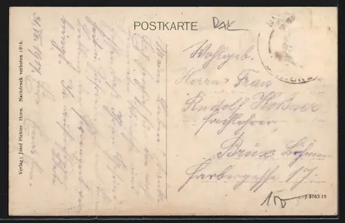 AK Altenburg, Schloss, Uferpartien