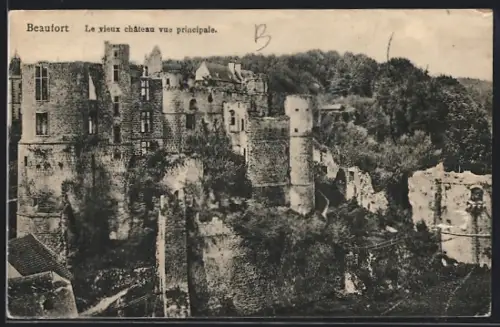AK Beaufort, Le vieux château vue principale
