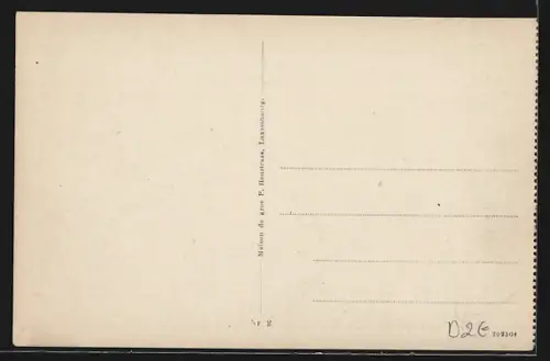 AK Diekirch, Panorama aus dem Grünen