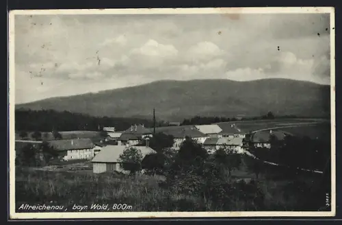 AK Altreichenau /Bayr. Wald, Ortspartie mit Strasse
