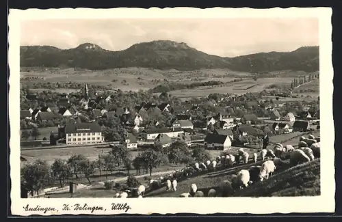 AK Endingen /Kr. Balingen, Teilansicht mit Schafherde