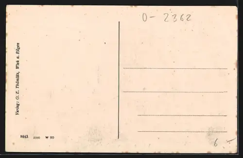 AK Wiek a. Rügen, Kirche mit Strassenpartie