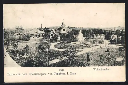 AK Jungborn i. Harz, Säle und Wohnhäuschen im Friedrichspark