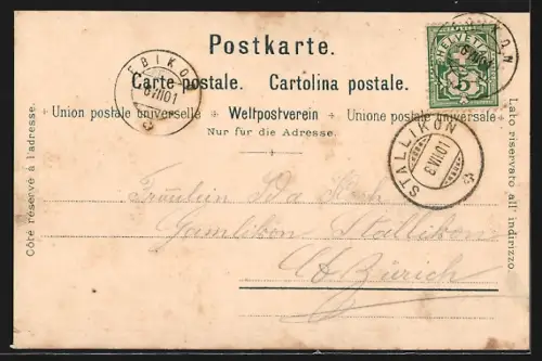 Künstler-AK C. Steinmann: Luzern, Seebrücke & Schweizerhofquai