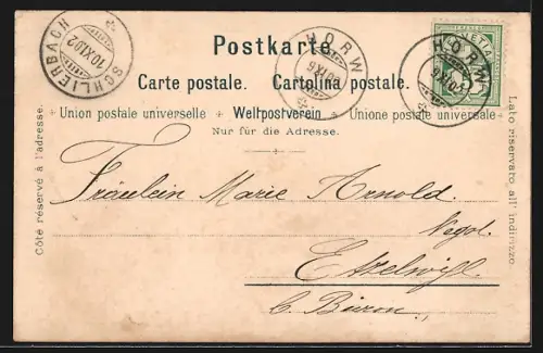 Künstler-AK C. Steinmann Nr. 2088: Luzern, Gesamtansicht vom Gütsch aus gesehen