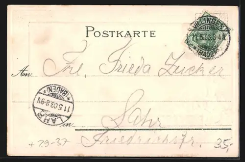 Passepartout-Lithographie Villingen / Baden, Waldhotel, Wappen