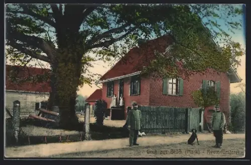 AK Brück /Mark, Revierförsterei mit Garten
