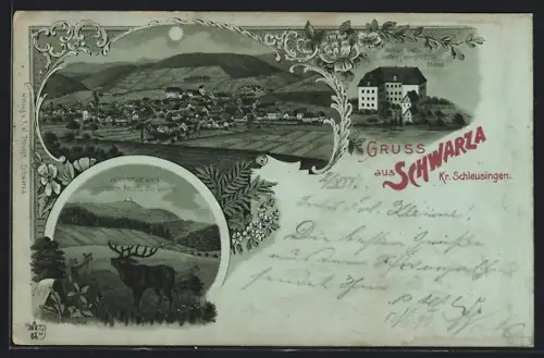 Mondschein-AK Schwarza /Schleusingen, Vormals Gräfl. Stollberg Wernigerod`sche Schloss, Ortsansicht, Dolmar