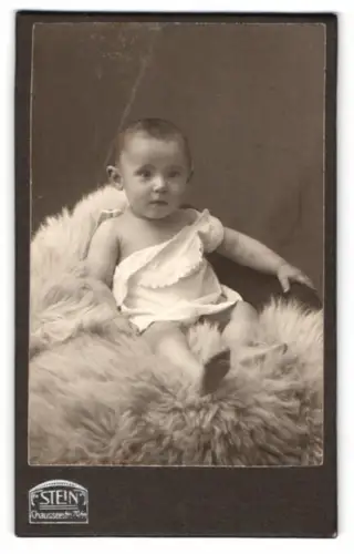 Fotografie Stein, Berlin, Chausseestr. 70/71, Porträt eines Kleinkinds