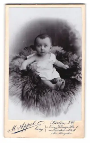 Fotografie M. Appel, Berlin, Neue Königstr. 1, Porträt eines Kleinkinds