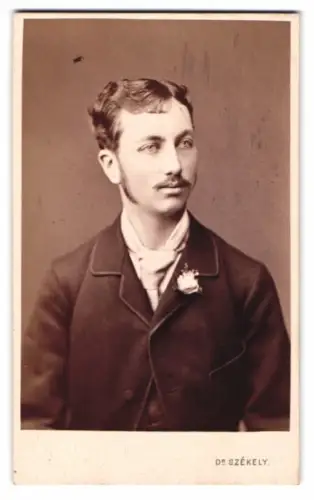 Fotografie Dr. Székely, Wien, Opernring 1, Porträt eines eleganten jungen Mannes