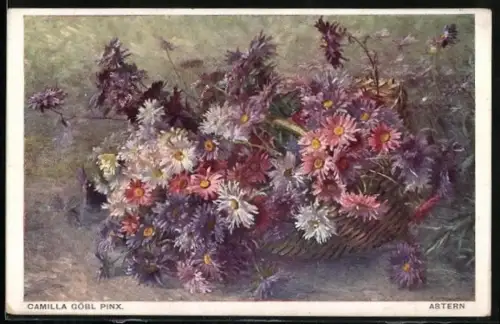 AK Arrangement von bunten Astern in einem Korb, Deutscher Schulverein