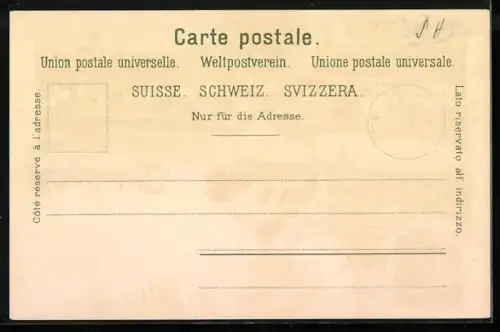Lithographie Schaffhausen, Rheinfall, Oberstadt