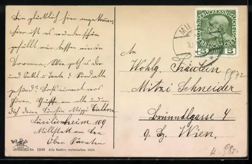 AK Millstatt am Millstättersee, Totale mit Blick auf die Gebirgswand