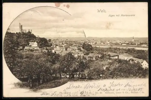 AK Wels, Teilansicht und Aigen mit Marienwarte