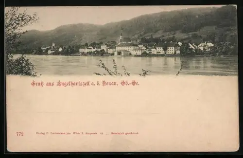 AK Engelhartszell a. d. Donau, Donaupartie mit Blick auf den Ort
