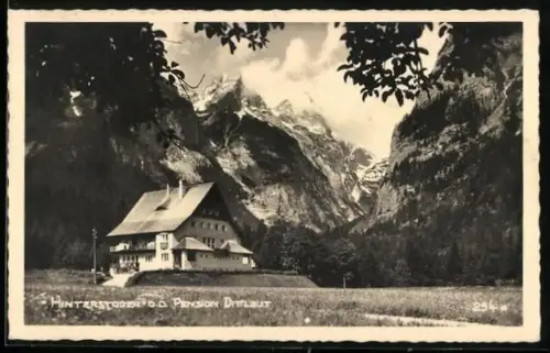 AK Hinterstoder /O. Ö., Pension Dittlgut mit Bergpanorama