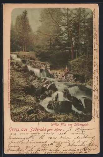 AK Suderode am Harz, Wilde Flut am Silberteich