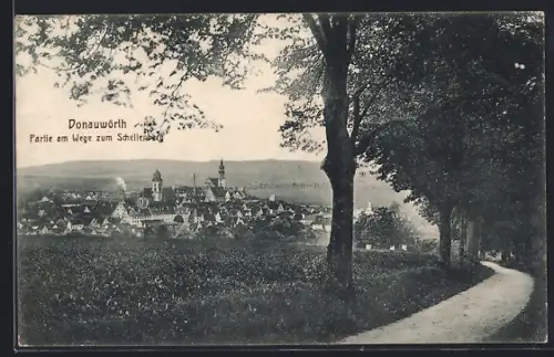 AK Donauwörth, Partie am Wege zum Schellenberg