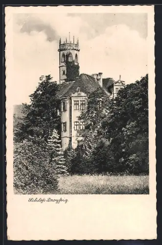 AK Droyssig, Schloss Droyssig