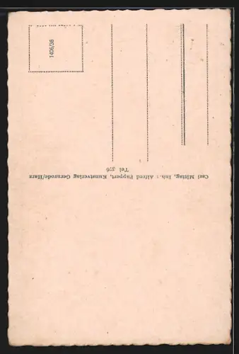 AK Ballenstedt /Harz, Schloss, Blick von Westen