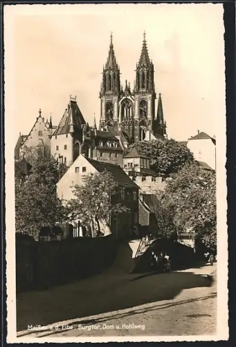 AK Meissen a. d. Elbe, Burgberg, Dom, Hohlweg