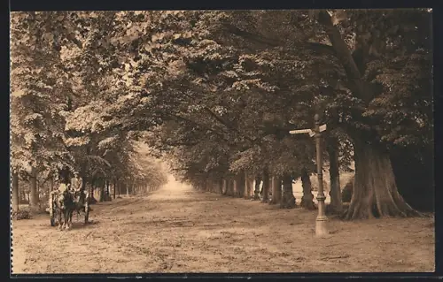 AK Postel, Oude lindendreef voor de abdij