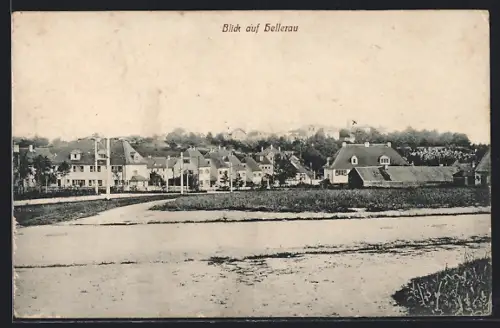 AK Dresden-Hellerau, Blick auf den Dresdner Stadtteil