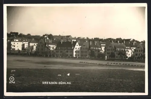 AK Dresden-Bühlau, Teilansicht vom Feld gesehen
