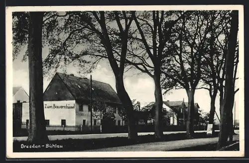 AK Dresden-Bühlau, Strassenpartie mit Gasthof Bauernhäusel, Inh. Kunstmaler Peter Flittert, Ullersdorfer Strasse 36