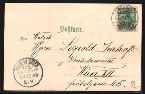 Lithographie Dresden-Loschwitz, Panorama mit Dampfer, Kirche, Blumendekor