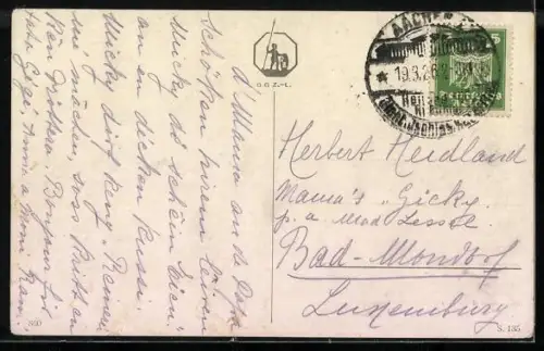 AK hübsche Katzen ruhen im Wald