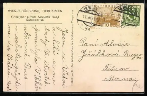 AK Wien-Schönbrunn, Tiergarten, Grizzlybär, Ursus horribilis