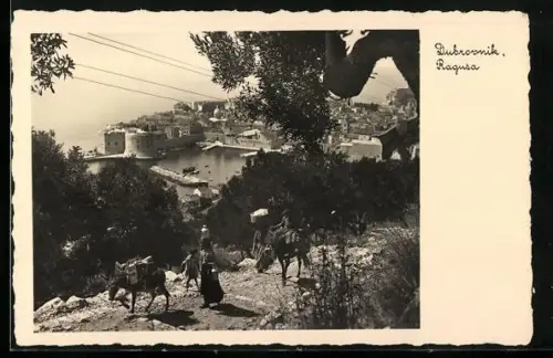 AK Dubrovnik, Ortsansicht aus der Vogelschau