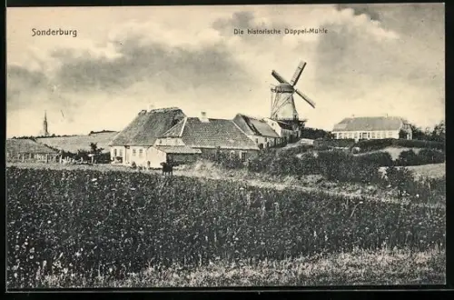 AK Sonderburg, die historische Düppel-Mühle, Windmühle