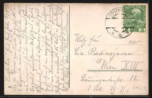 AK Losenstein a.d. Enns, Ortsansicht mit Schieferstein