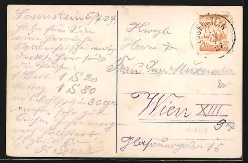 AK Losenstein, Uferpartie mit Blick auf den Ort