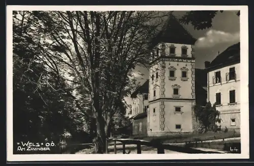 AK Wels /O. Ö., Partie am Zwinger