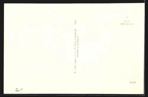 AK Grein a. d. Donau, Stadtplatz mit Gasthof zur goldenen Krone, Radio mit OÖ-Elektrobau AG